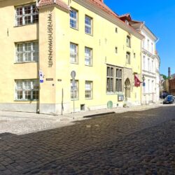 355196366_1716164658900118_5553485582776466887_n