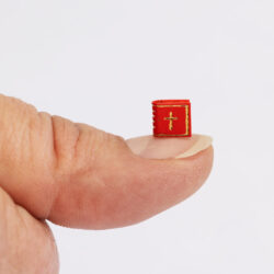 miniatuurraamatud (7)