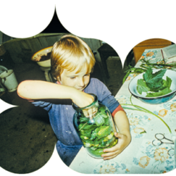 Mustamäe hapukurgid 1