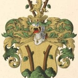 Stackelbergi_suguvõsa_aadli-_ja_parunivapp