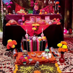 Kuvatõmmis 2025-12-04 100013