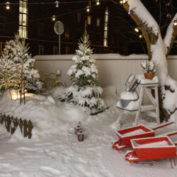 kalamaja_talvineaed (1)