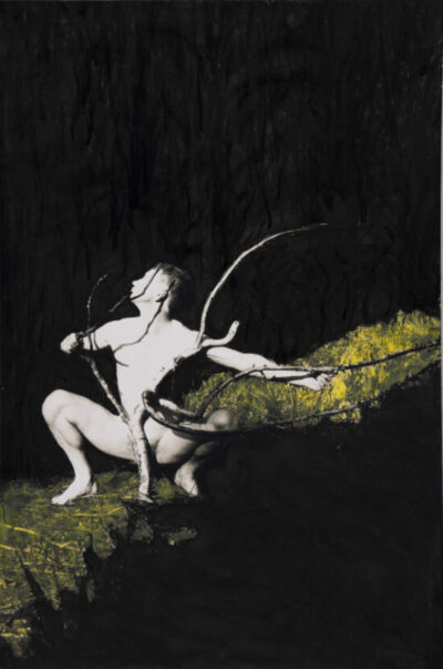 Alates 6. juunist <br><b>Näitus Fotomuuseumi galeriis Seek<br> "Einar Tiits. Kuidas olla puuoksake"</b>